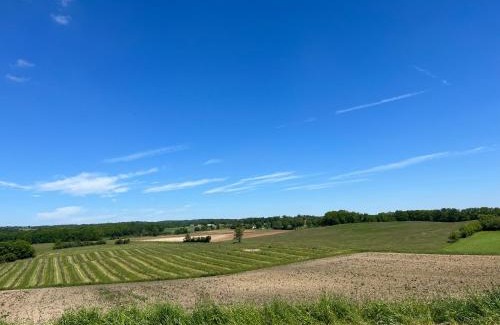 Salles House | L'Herbe Pot