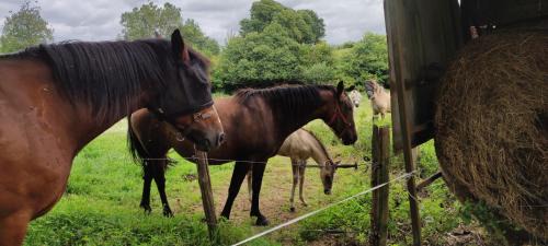 La Chaise-Baudouin House | L’horsery