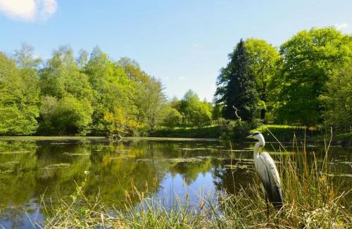 Saint-Bazile House | L'Olive