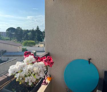 Le Grau-Du-Roi Apartment | L'Olivier bel appartement climatisé 2 chambres proche des commerces