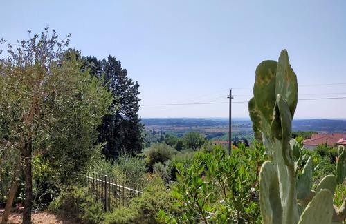 Lucignano Apartment | L'OLIVO Tourist Apartment CIN IT051021C2MW8M4HLF