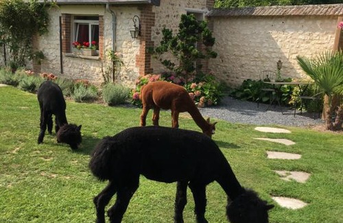 Amfreville-sur-Iton House | L'Oreade