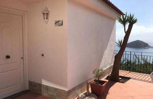 Barano d'Ischia Apartment | L' Ulivo Villa Nunzia