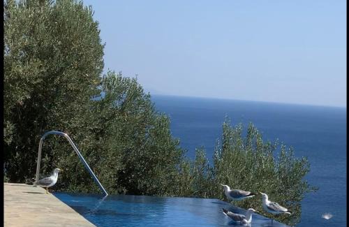 Melinta House | La Bella Villa