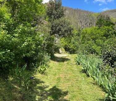Saint-Vincent-d'Olargues House | La Bergerie