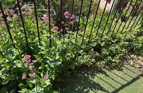 Saint-Vincent-d'Olargues House | La Bergerie