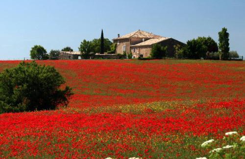 Valensole House | La Bergerie in an estate with swimming pool in the heart of the Luberon