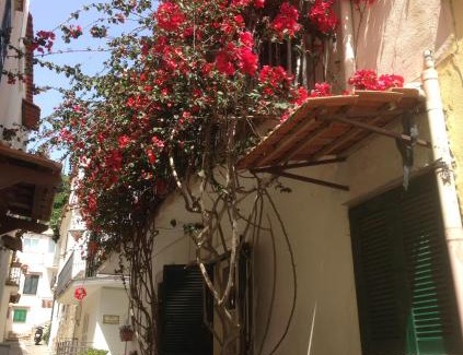 Lacco Ameno House | La Bouganville