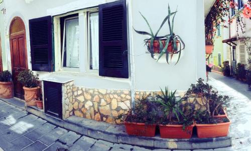 Lacco Ameno House | La Bouganville