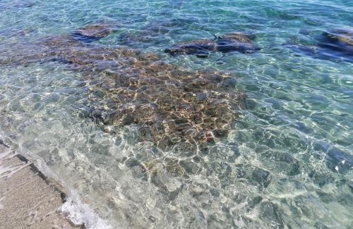 Bravone Apartment | La Caletta Corsa Apartments con due camere a 100 m dal mare - WiFi fibra FTTH - ALL INCLUSIVE