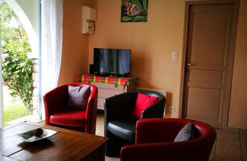 Mimizan House | La canopée