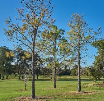 Mesopotamia Apartment | La Cantera Eco Hotel & Golf