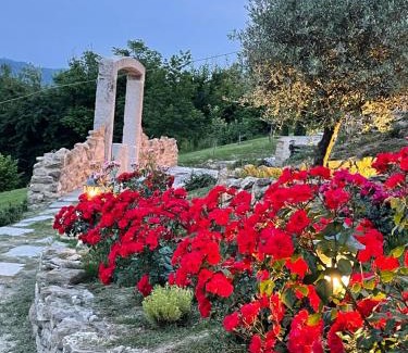 Pozzengo Bed & Breakfast | La Cantinetta Resort