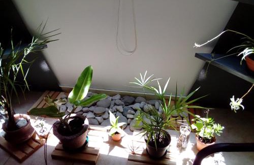 Rosario Apartment | La Casa Azul - Arroyito Rio