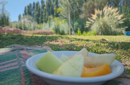 Vistalba House | La casa de Vistalba