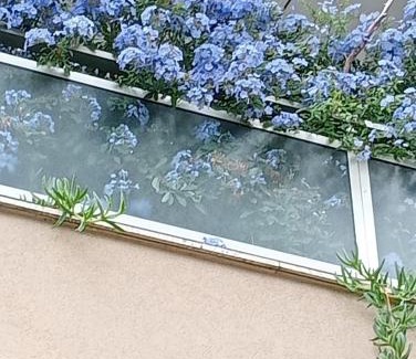 Bordighera House | La Casa di Emy