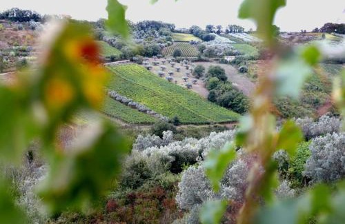Pollutri House | La Casa di Stefania LOFT