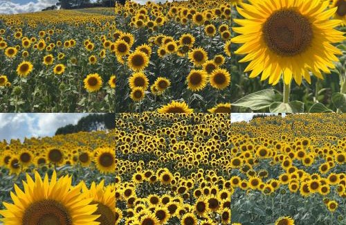 Montecatini Val di Cecina House | La Casa di Orazio