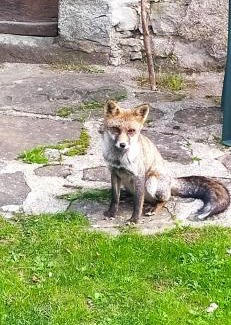 Sambuca Pistoiese House | La casa nel bosco-senza auto