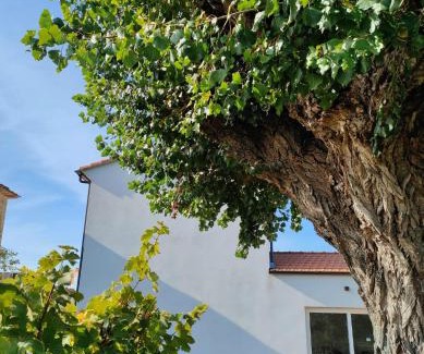 Borghetto-melara Bed & Breakfast | La Casa Vecchia Bed&Breakfast