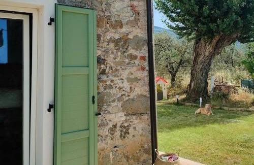 Borghetto-melara Bed & Breakfast | La Casa Vecchia Bed&Breakfast