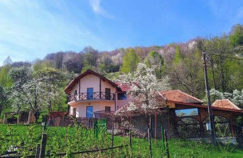 Merisor House | La cascada Sipot