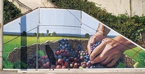 Campomarino Apartment | la casetta del borgo