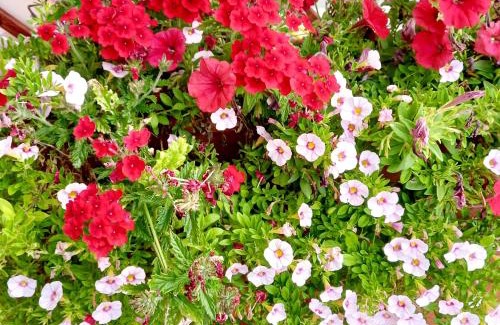 Lizzano in Belvedere Apartment | La casetta di Mizar