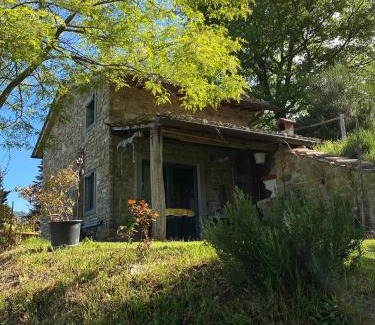 Vicchio Ski Chalet | la Casetta Nel Bosco Feel the nature