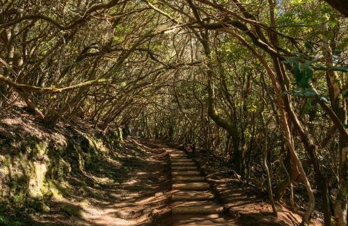 Valle de Guerra Apartment | La casita de Vera