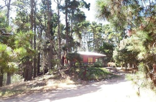 Mar Azul House | la casita del bosque