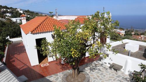 Villa de Mazo House | LA CASITA DEL JEBRERO