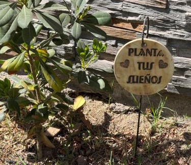 Tinogasta Apartment | La casita del Olivo