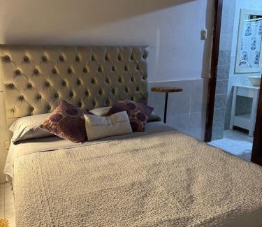 Tinogasta Apartment | La casita del Olivo