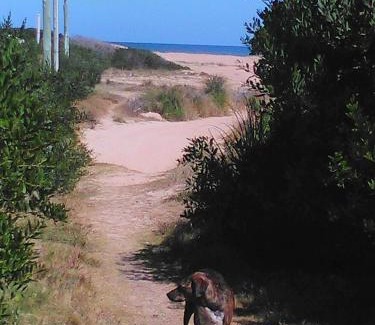 Punta Rubia House | La Casita del Puente