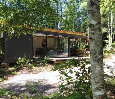 Pucon House | La Casona Caburgua