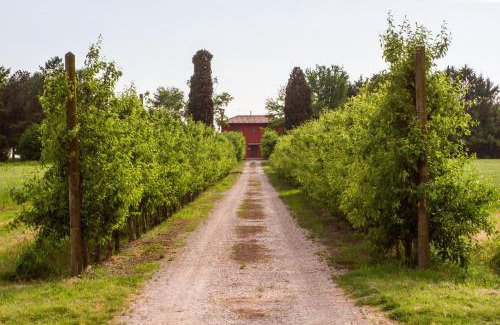 Terzo d'Aquileia House | La Centuria Società Agricola Casa Vacanze
