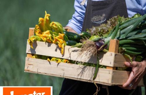 Sassetta House | La Cerreta - Terme di Sassetta