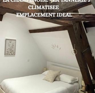 Old Town Apartment | La Champenoise La Tannerie