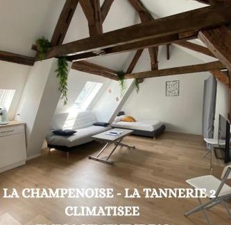 Old Town Apartment | La Champenoise La Tannerie