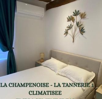 Old Town Apartment | La Champenoise La Tannerie