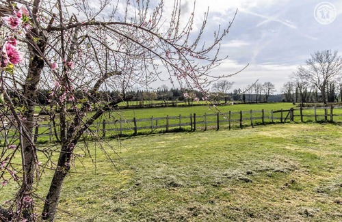 Saint-Symphorien-des-Bois House | La Cigale du Soleil - SAINT SYMPHORIEN DES BOIS