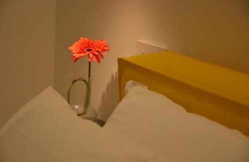 Camerano House | La Cicada