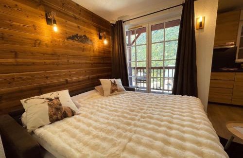 Cauterets Apartment | "La clé dorée" Studio balcon ensoleillé Vue montagne wifi