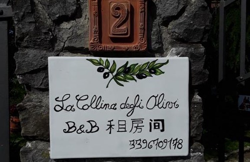 Giugnano Bed & Breakfast | La collina degli olivi