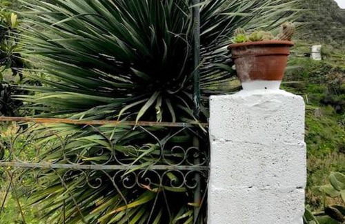 Juncalillo House | La Cueva Del Drago