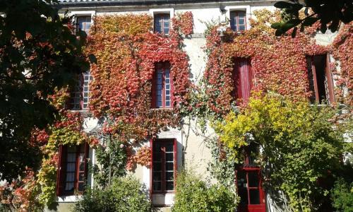 La Courade Bed & Breakfast | La Cure du Maine Charles