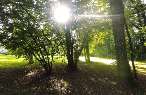 Saint-Etienne-en-Bresse House | La Demeure de l'Intendant - 15-person gîte with 9000m2 grounds and swimming pool