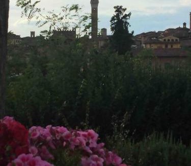 Siena House | La dogana