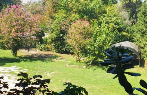 Porto Viro Apartment | La DOGARESSA